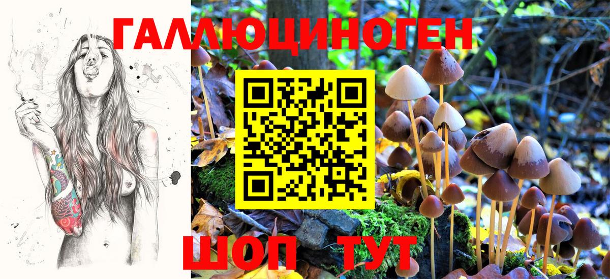 купить  цена  Галлюциногенные грибы мухоморы  Вход с VPN  Лабытнанги 